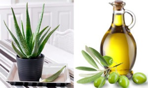 Aloe Vera and Olive oil