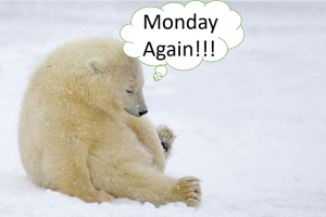 Polar Monday