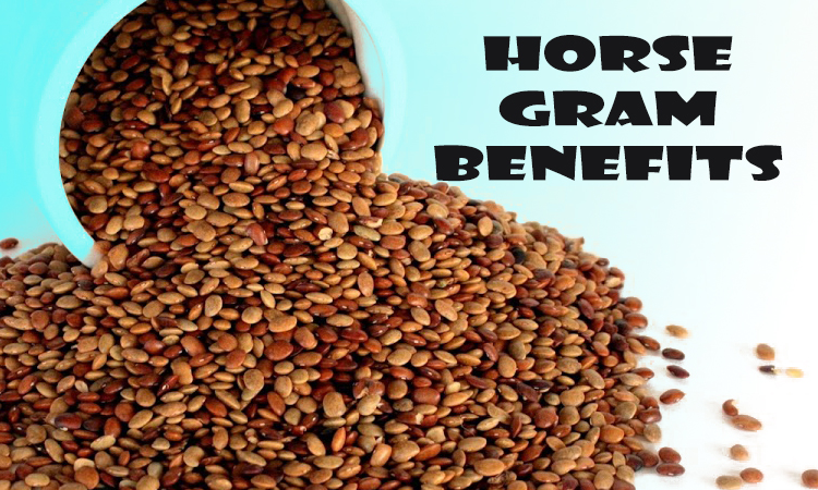 A Magical Effect of Horse Gram for Weight Loss