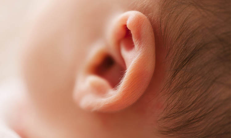 ear