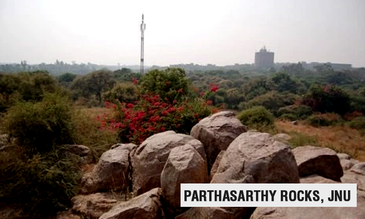 Parthasarthy Rocks