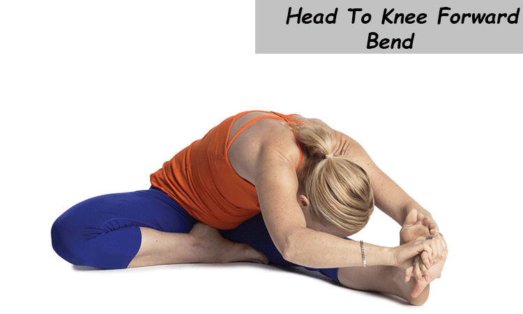 Head-to-knee-forward-bend