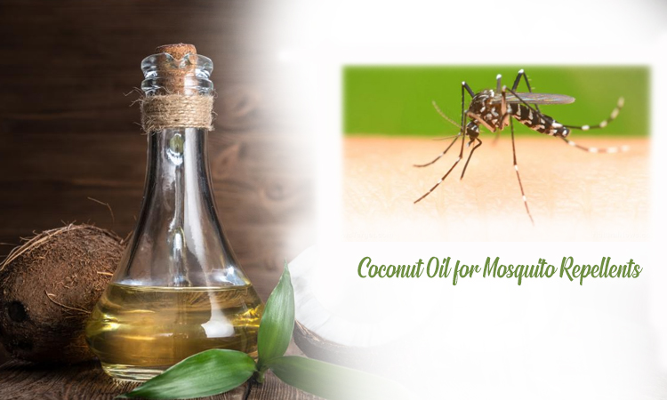 Coconut Oil for Mosquito Repellents