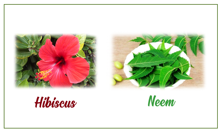 Neem and Hibiscus