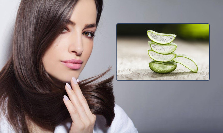 Aloe Vera Hair Pack