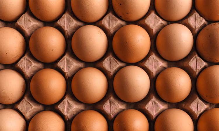 Eggs