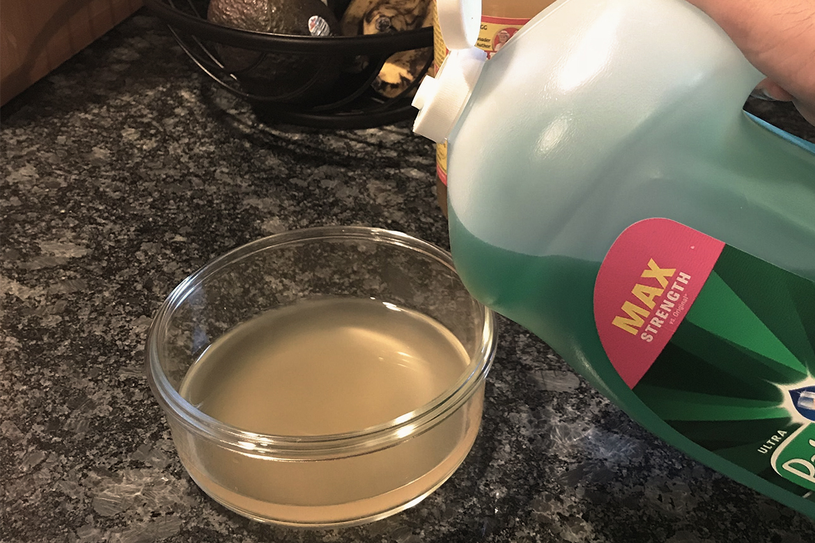 Killing Flies By Vinegar and Liquid Soap