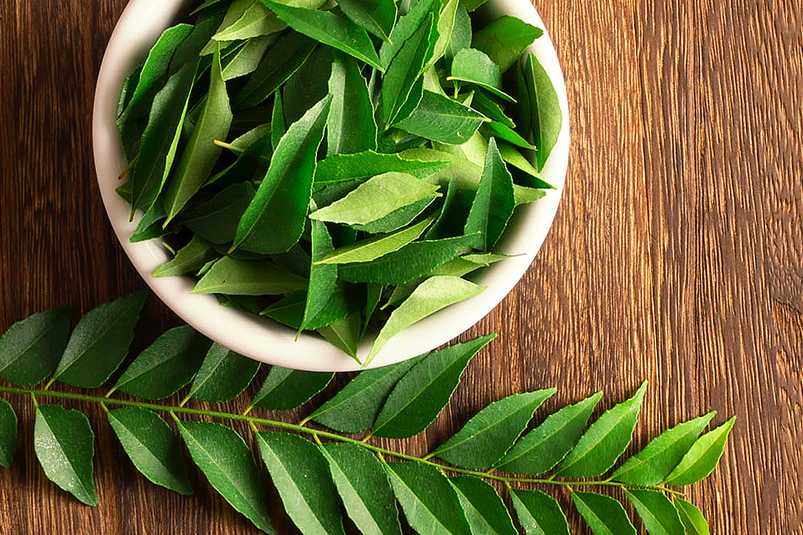 Curry Leaves