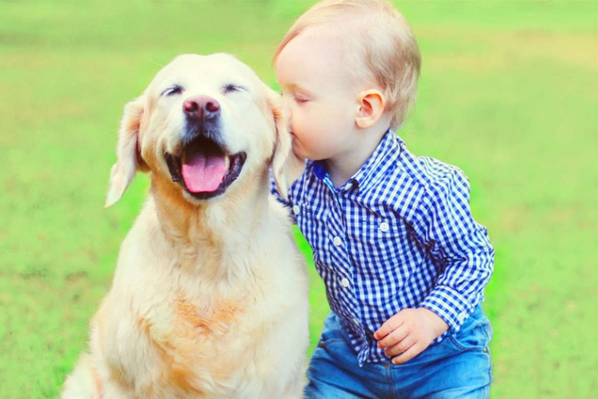 Labrador Dog and Toddler