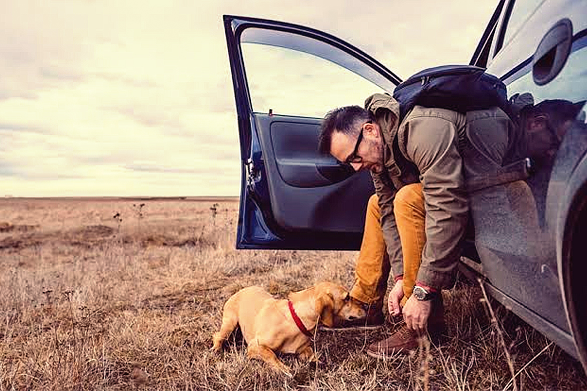 Pet Outside The Car