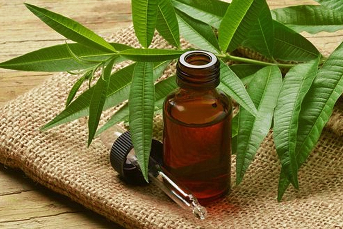 Tea Tree Oil 