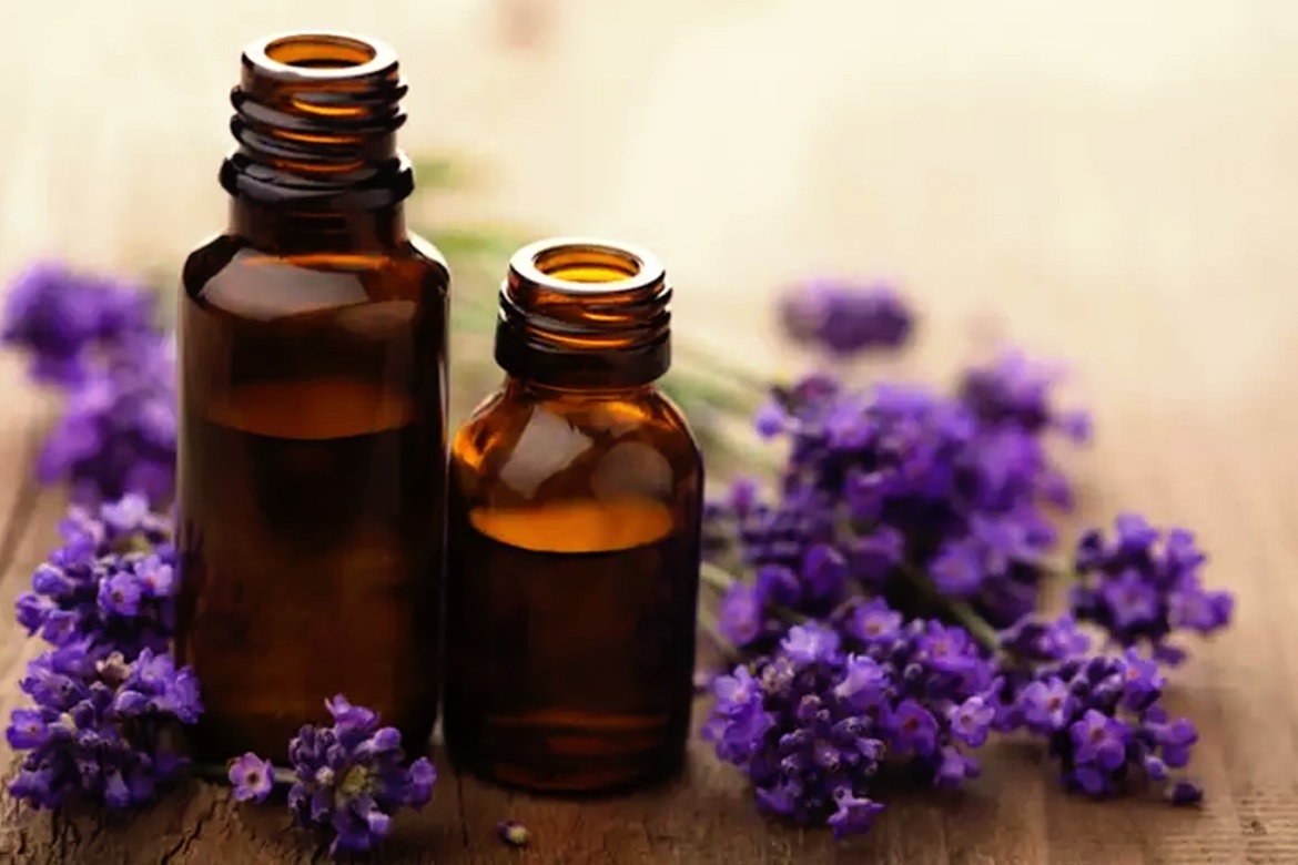 Lavender Oil