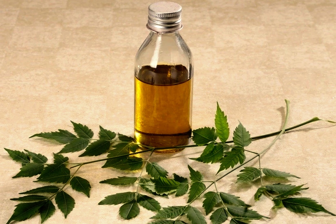 Neem Oil