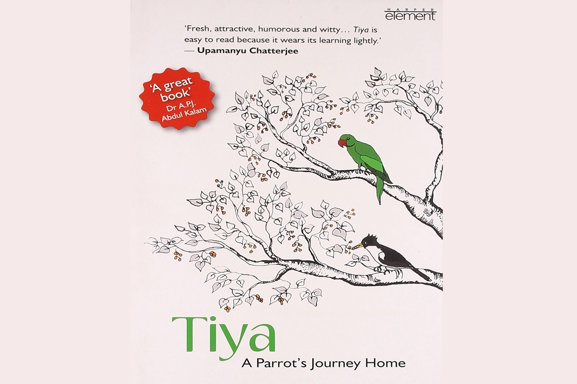 Tiya: A Parrot's Journey Home