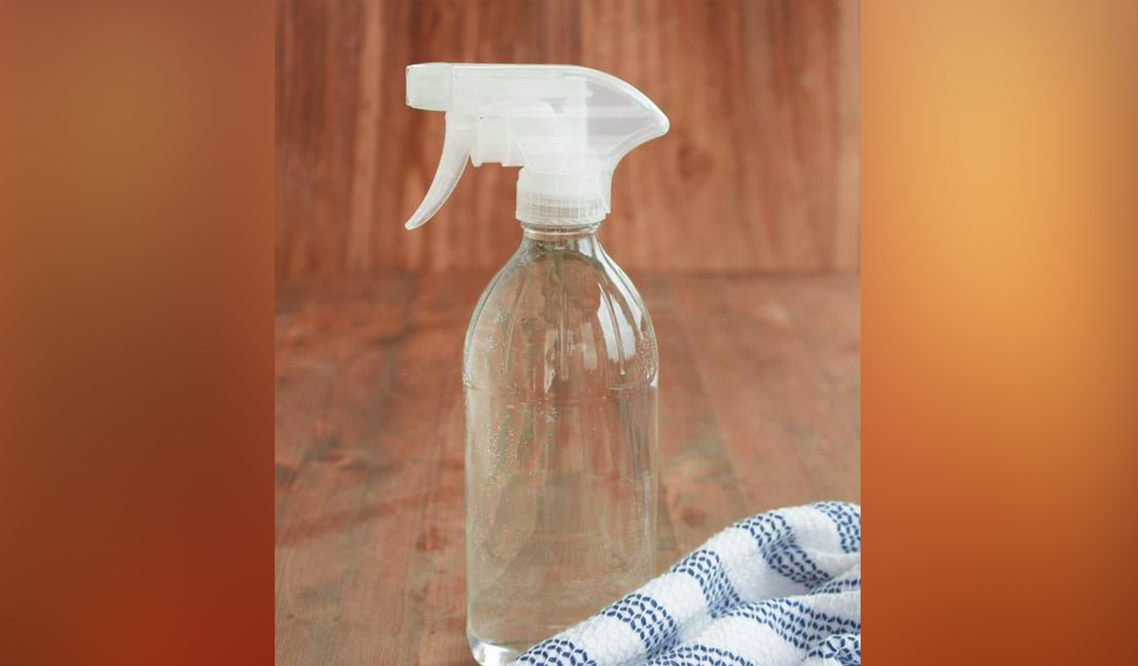 Spray Bottle