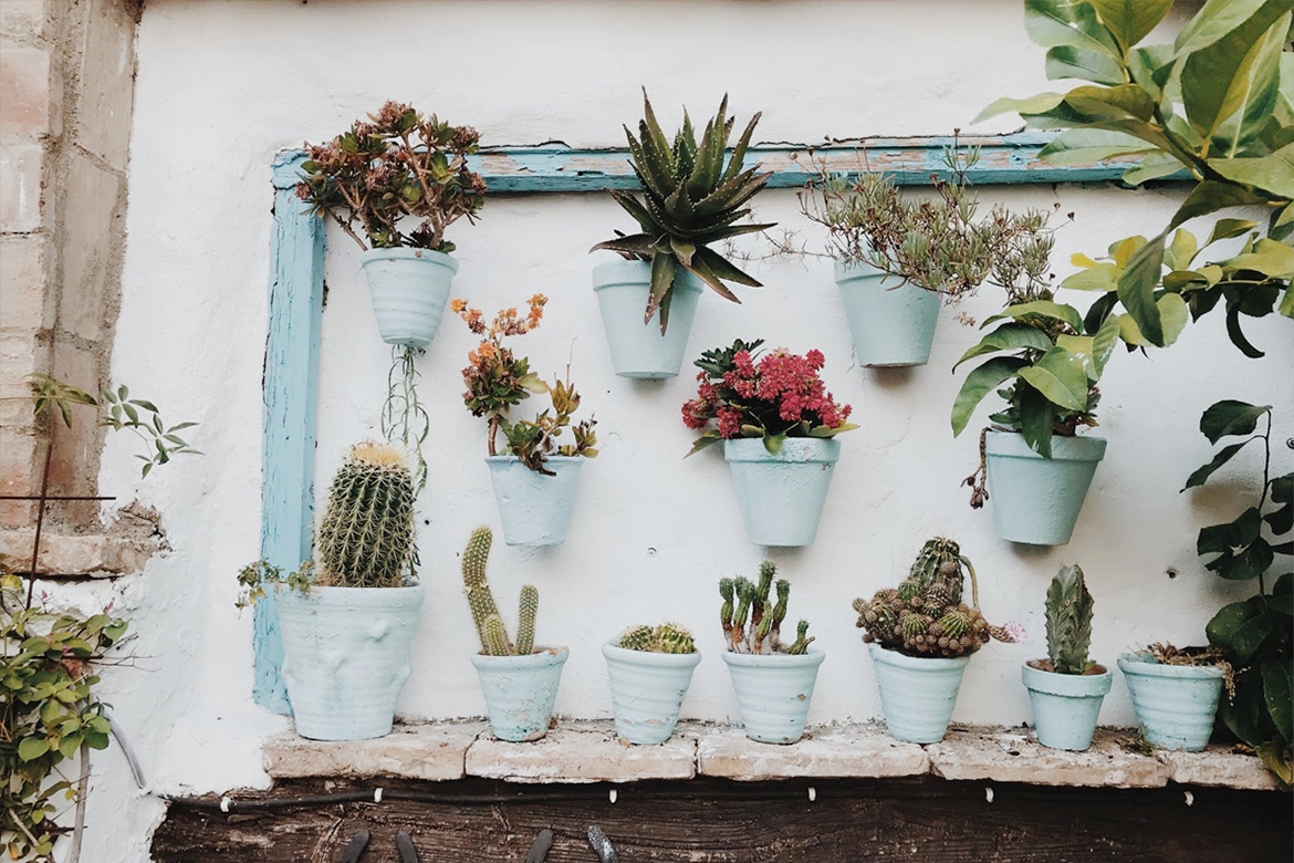 green pots