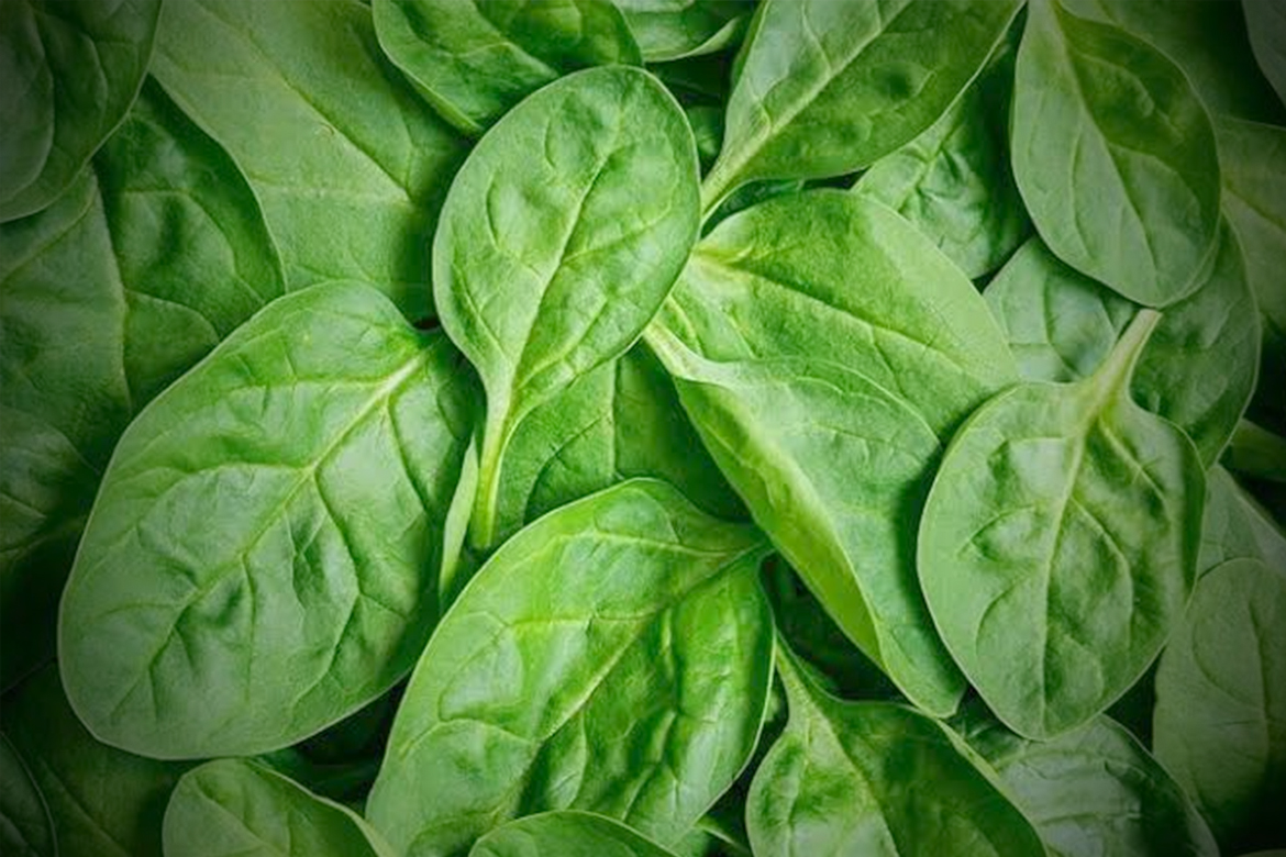 Healthy spinach