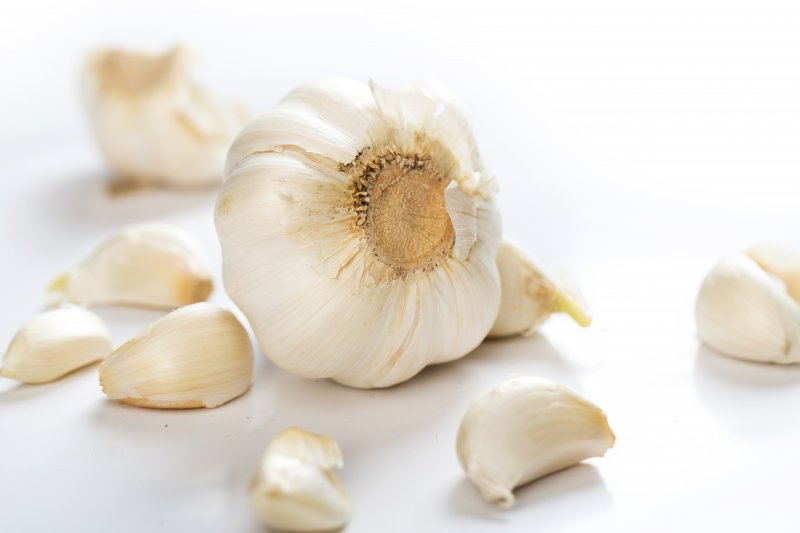 
Garlic