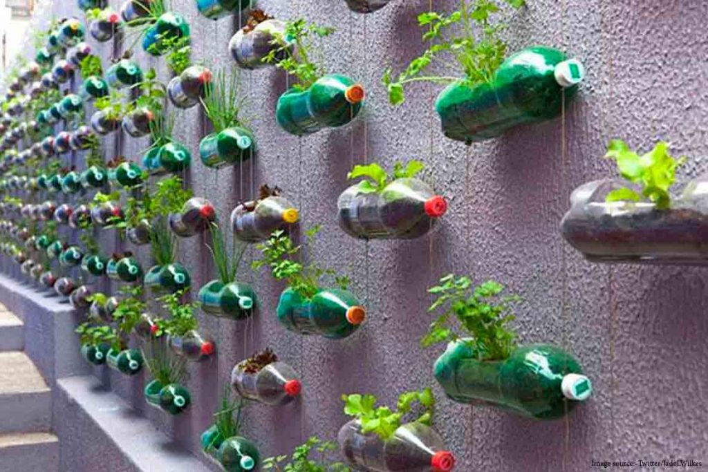 bottles-planters